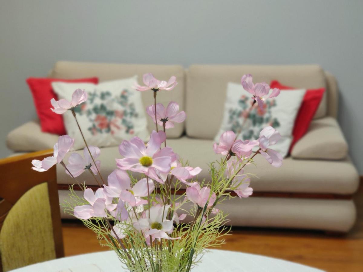 Lesna Harmonia Appartement Olsztyn  Buitenkant foto